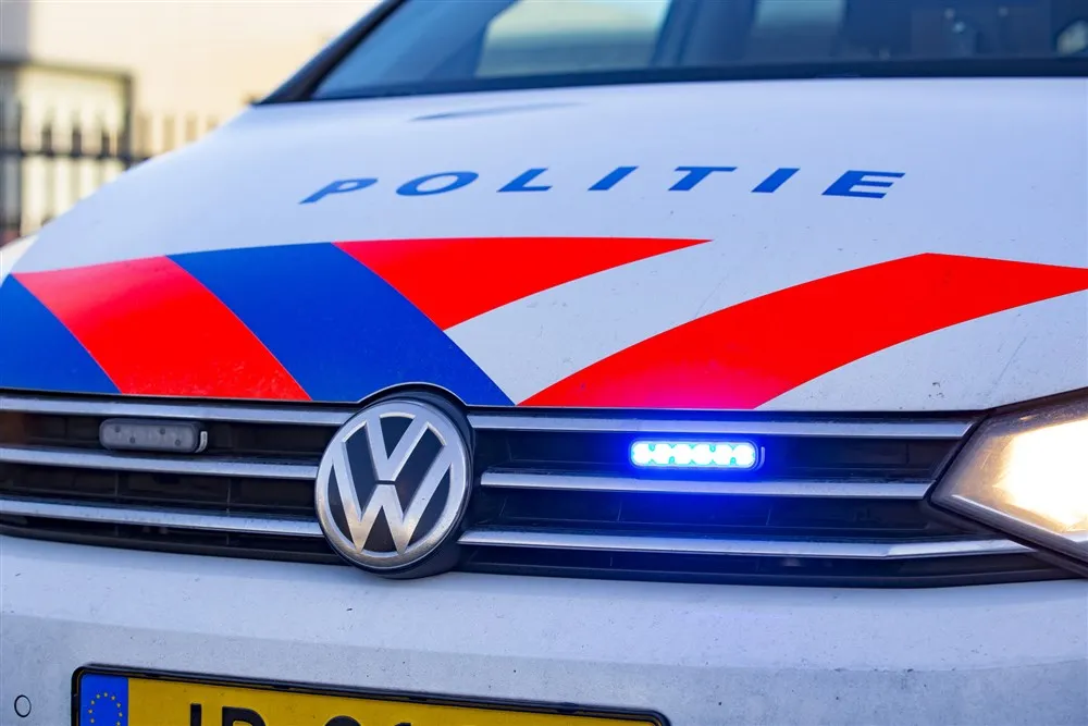 download scaled 1000x1000 72055