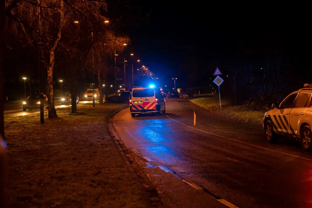 download scaled 1000x1000 73543