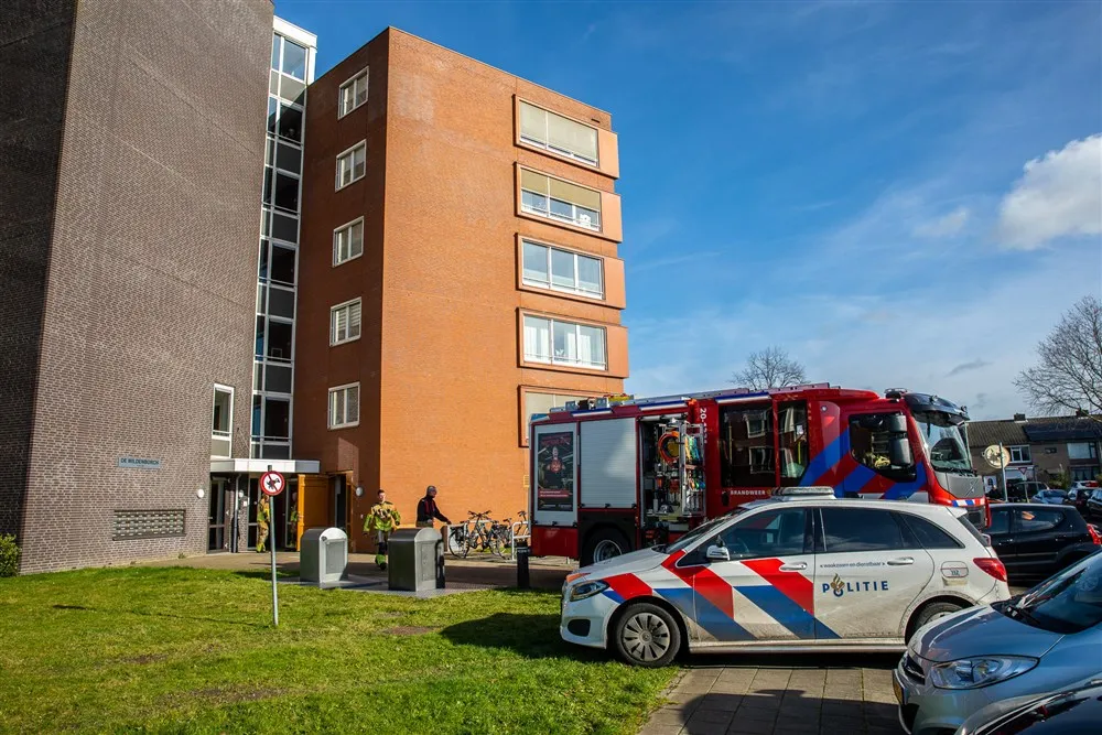 download scaled 1000x1000 74992