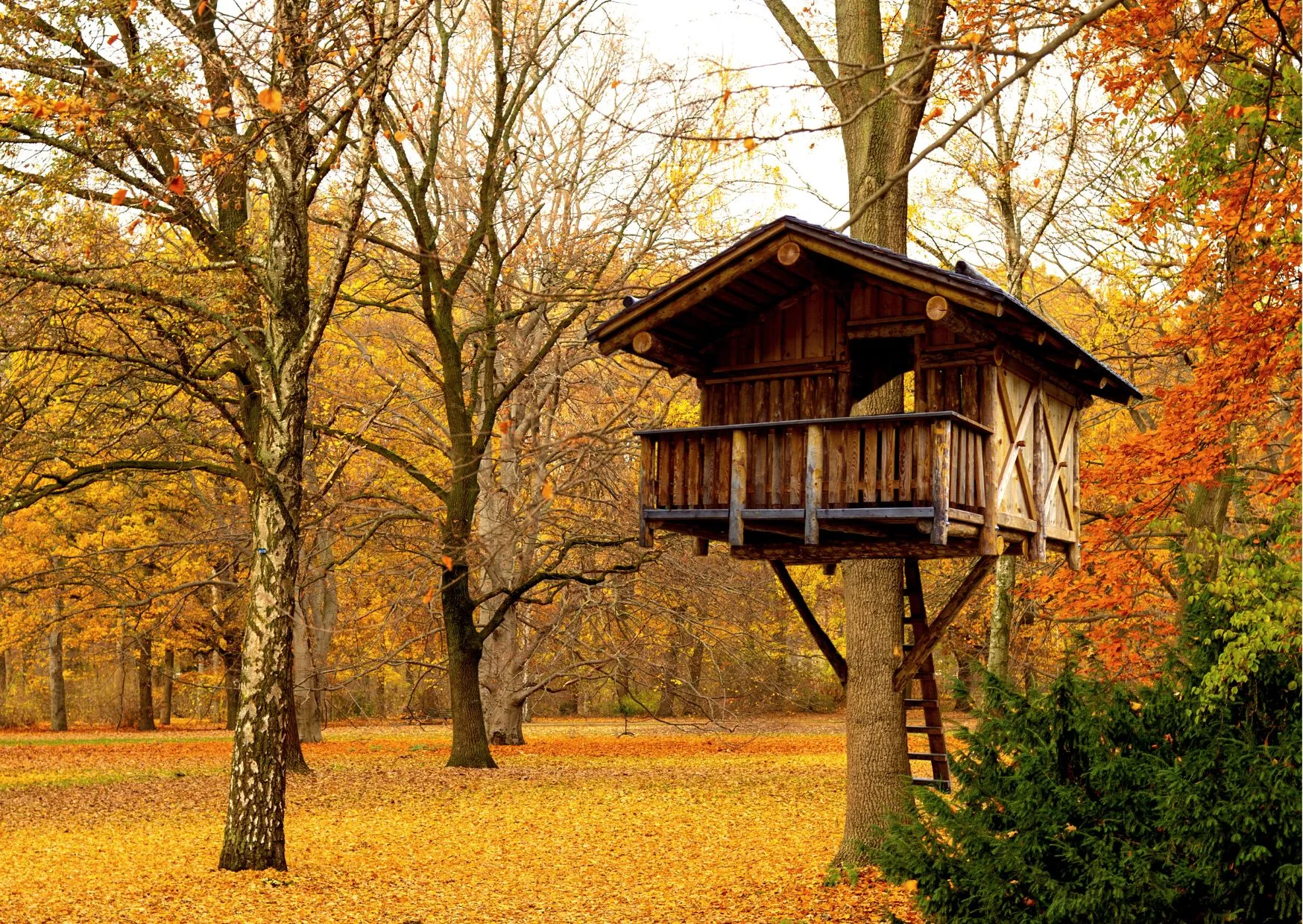 foto bij persbericht bwb biebfabriek in de herfstvakantie
