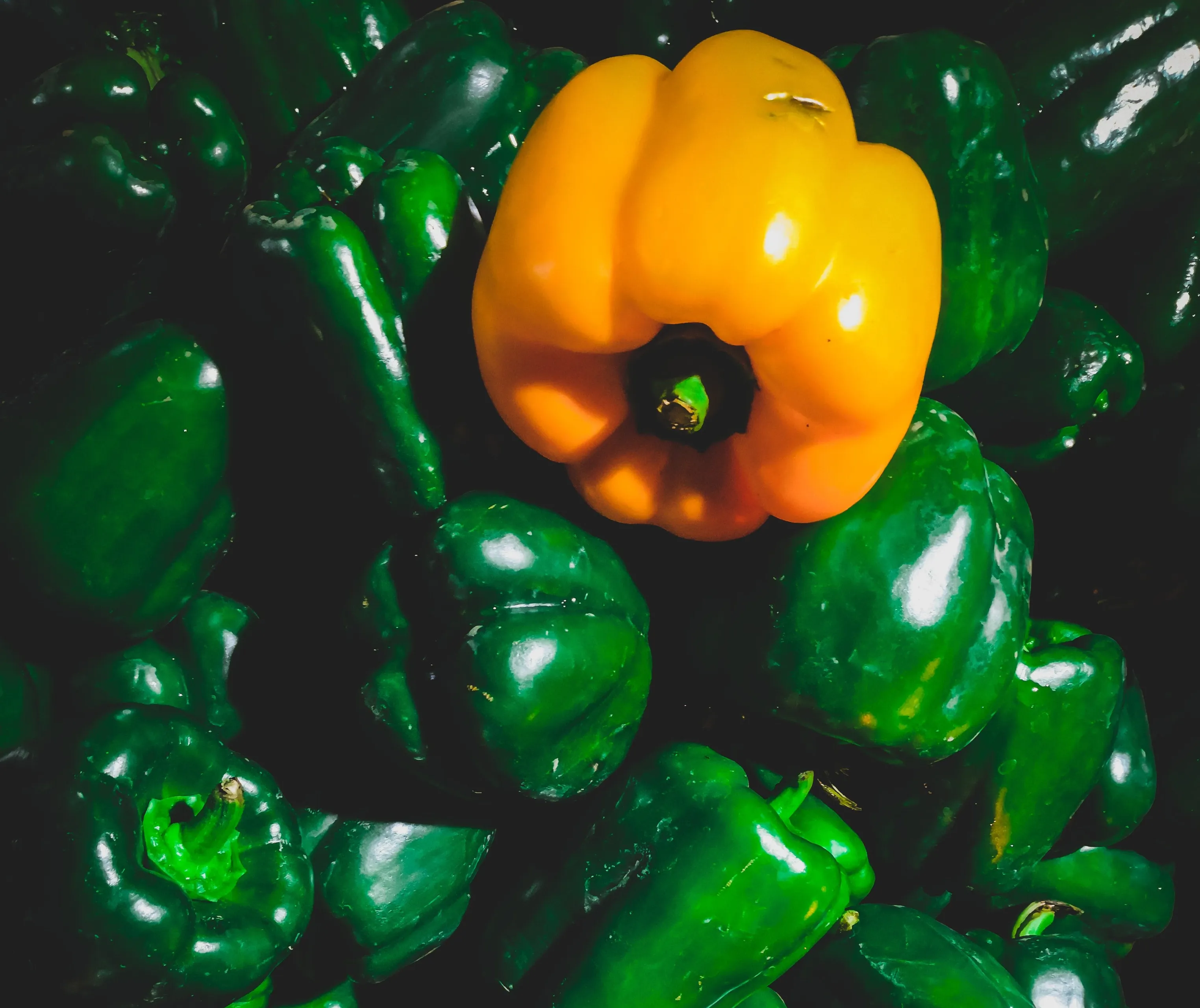 green yellow and red bell pepper lot 1843385 e1584963574152