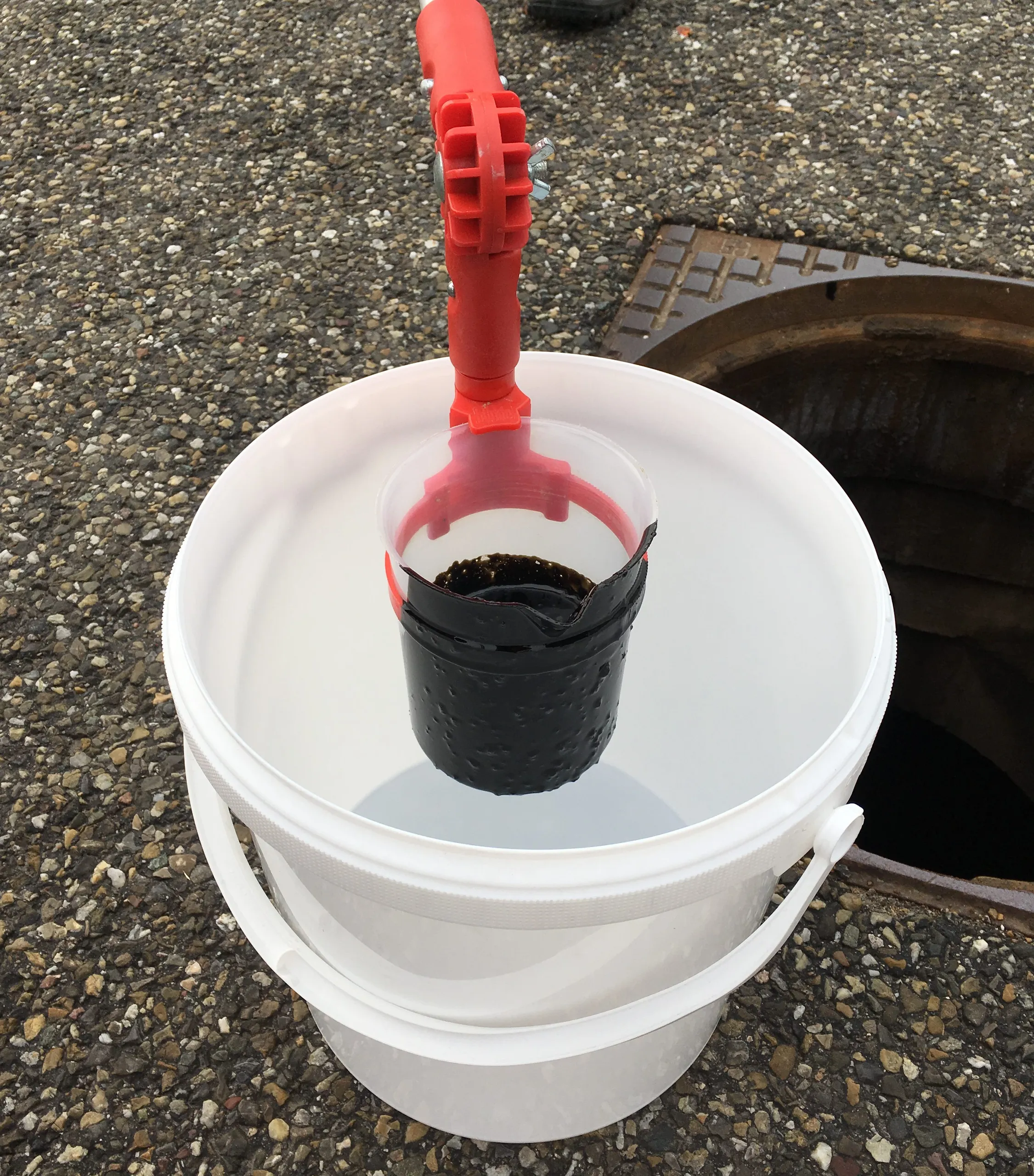 img 0668 e1552572248237