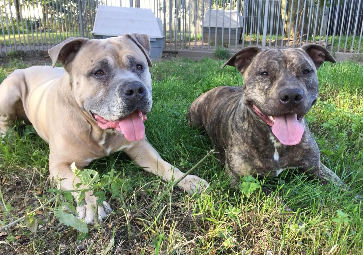 lunarocco 28 9 e1538733297980