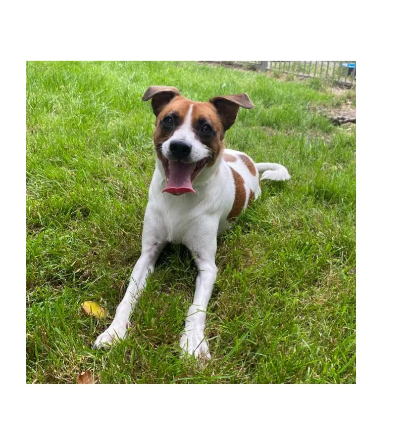 naamloos e1659683541226