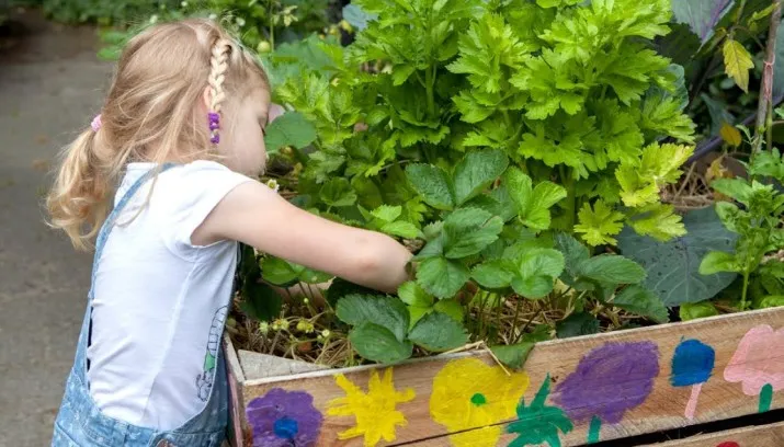 natuur super brabant