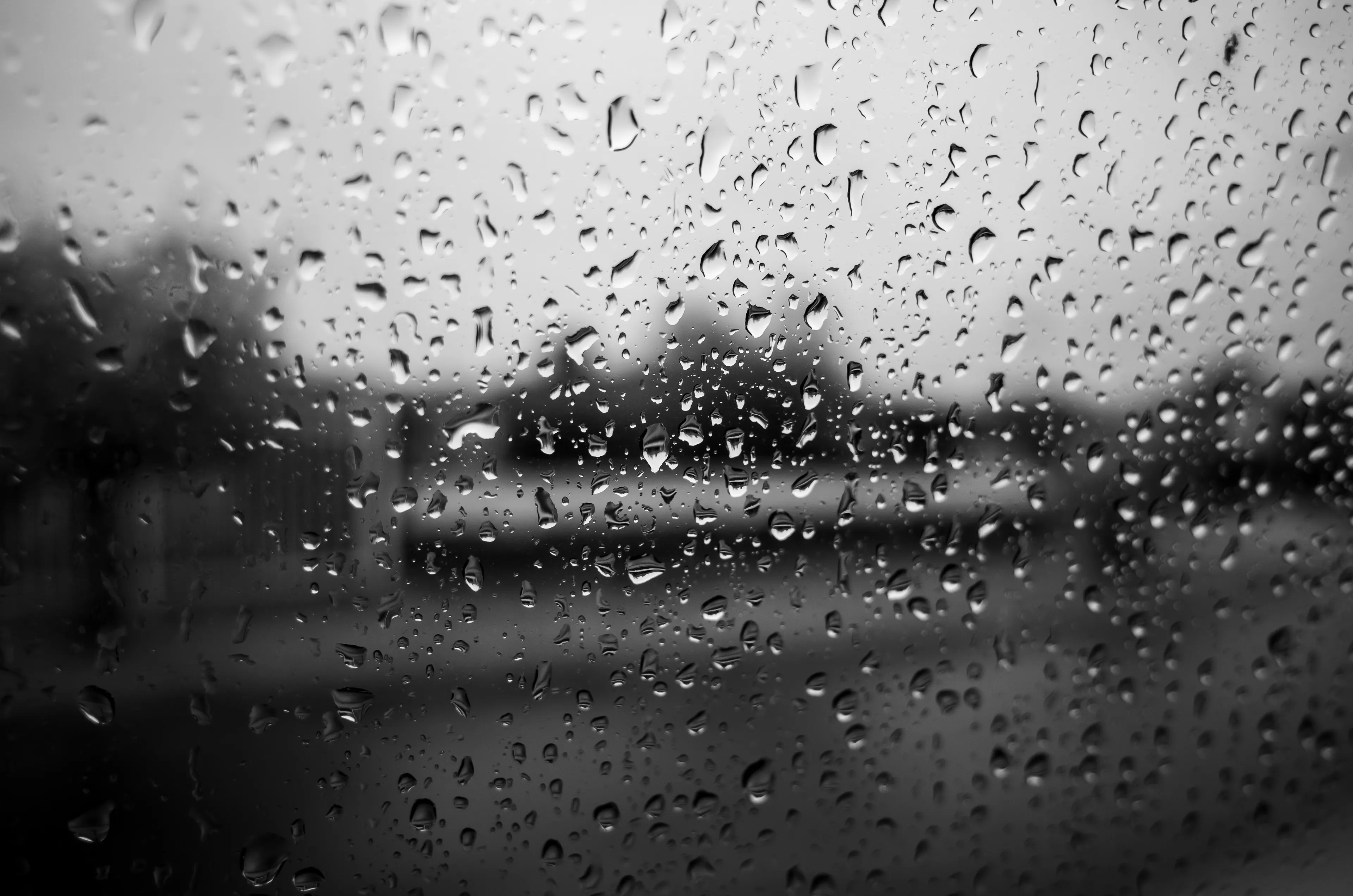 pexels sonny sixteen 5706239