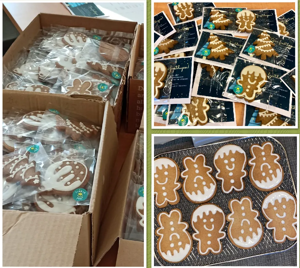 schermafbeelding 2021 12 22 om 115137