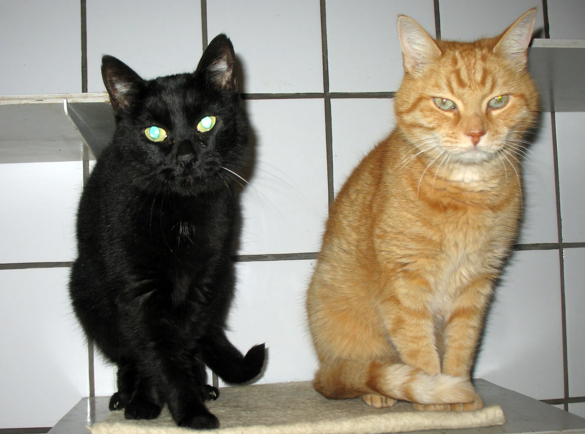 sissieenskipper17 10