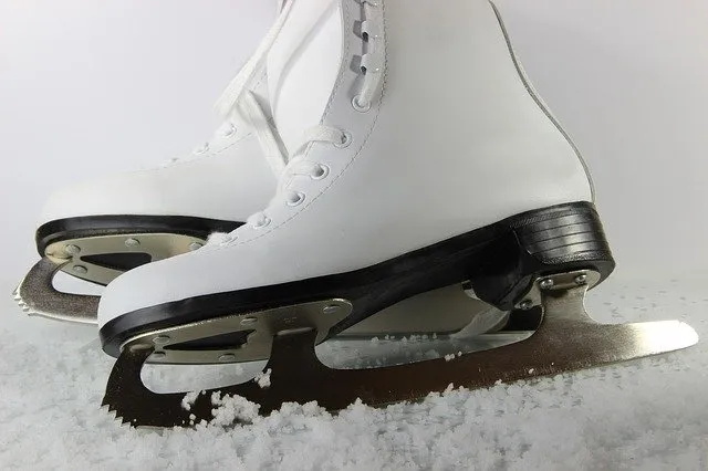 skates 3623008 640