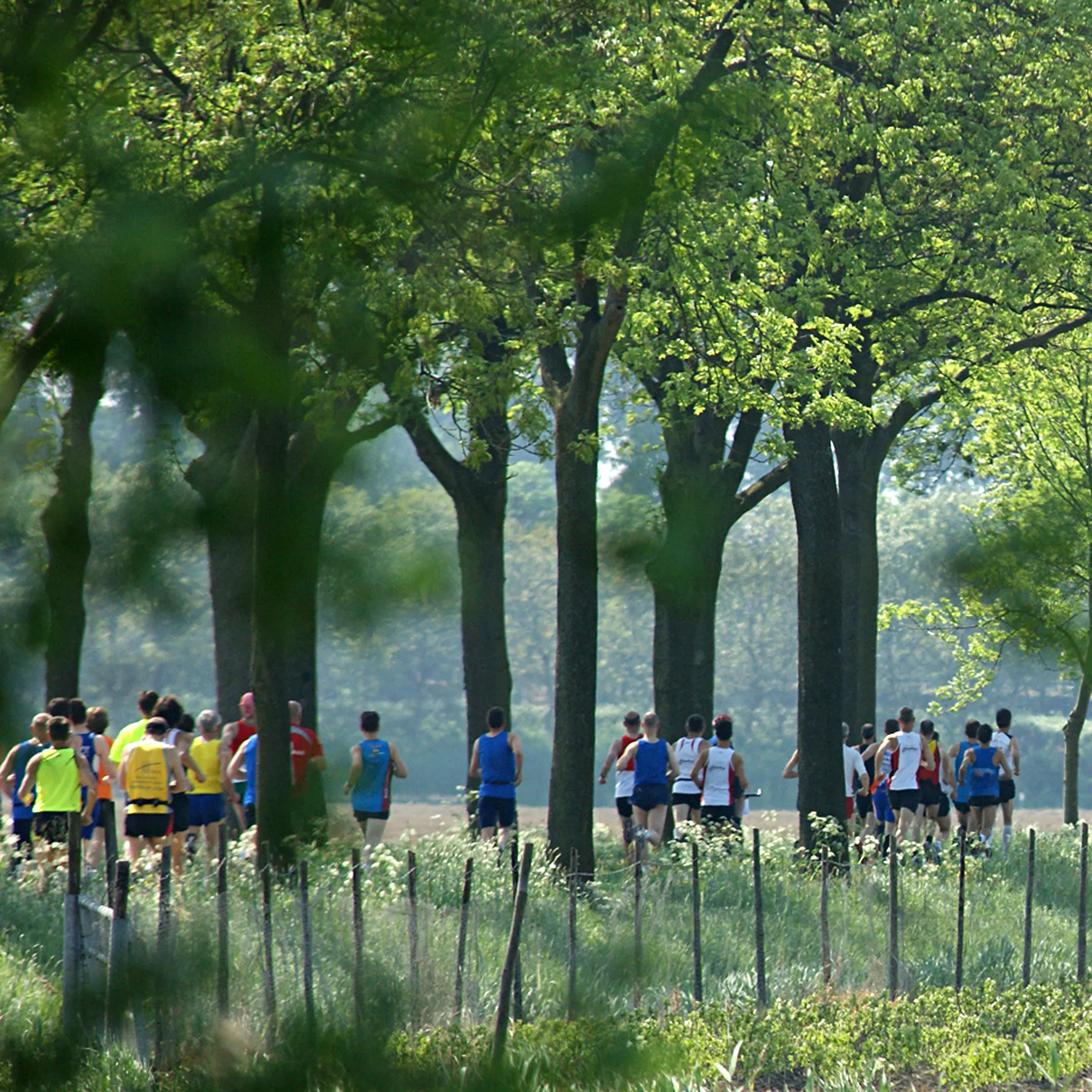 thor recreatief hardlopen 01