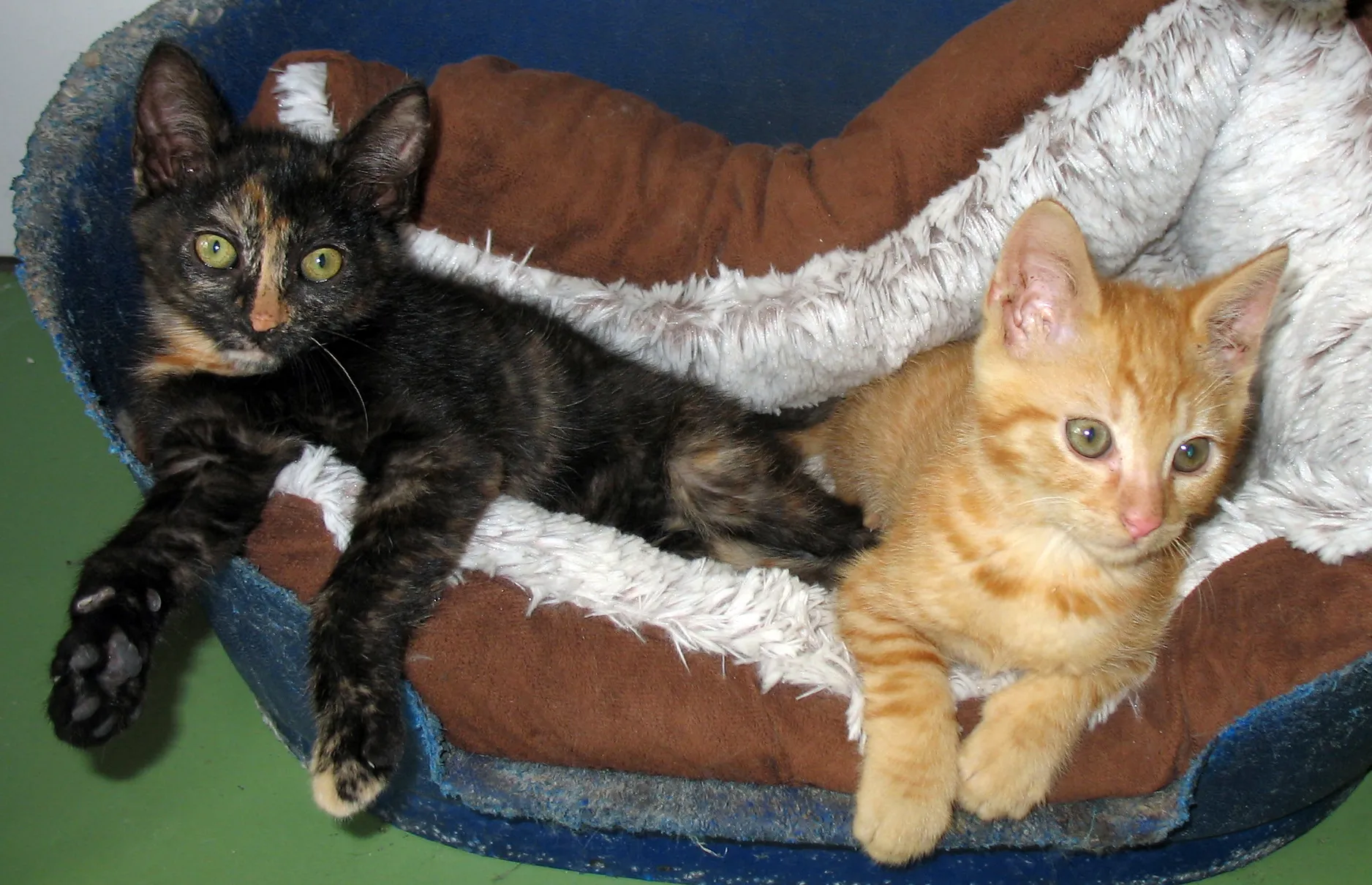 thunderenbliksem15 7