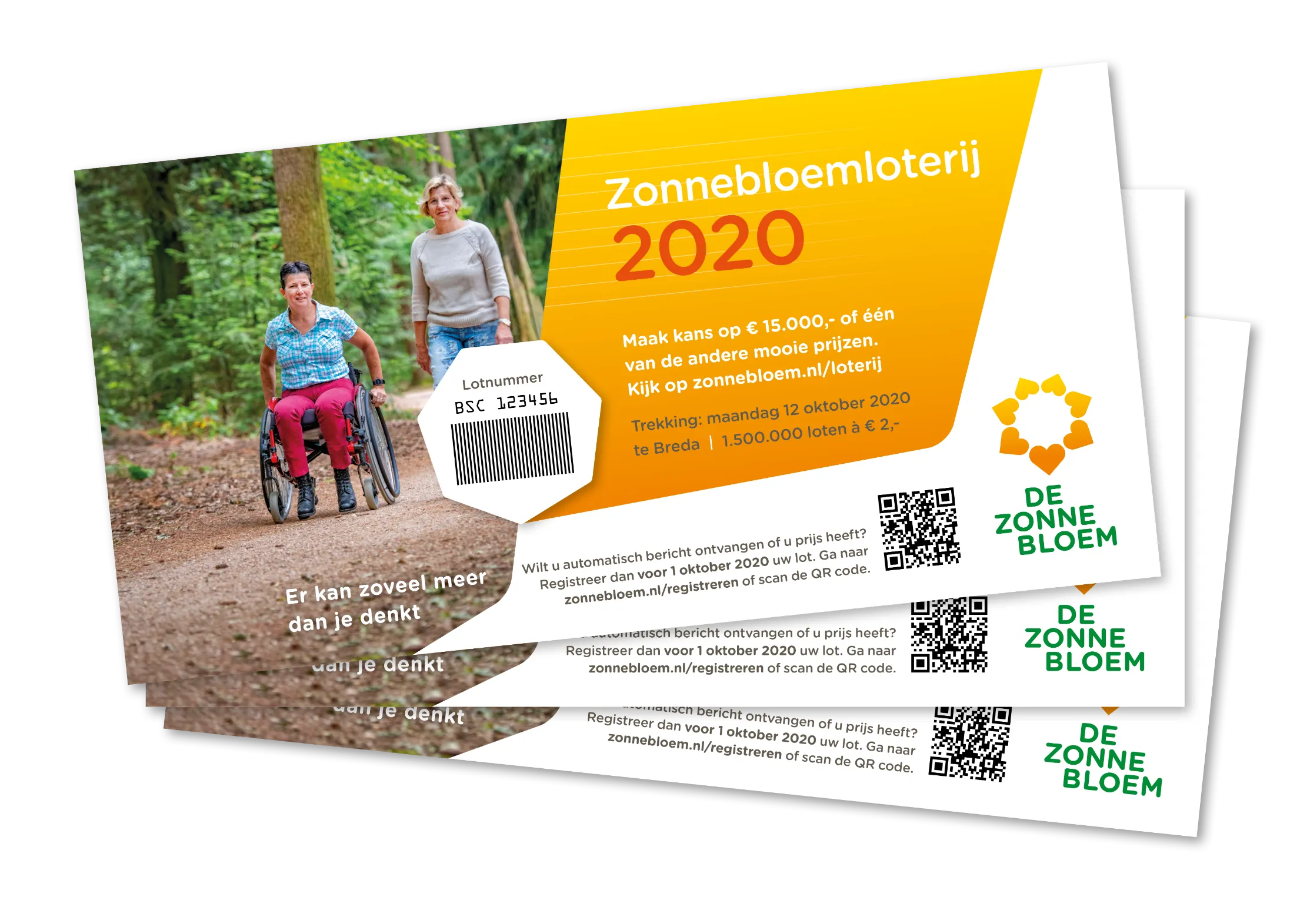 zonnebloem loten kopen