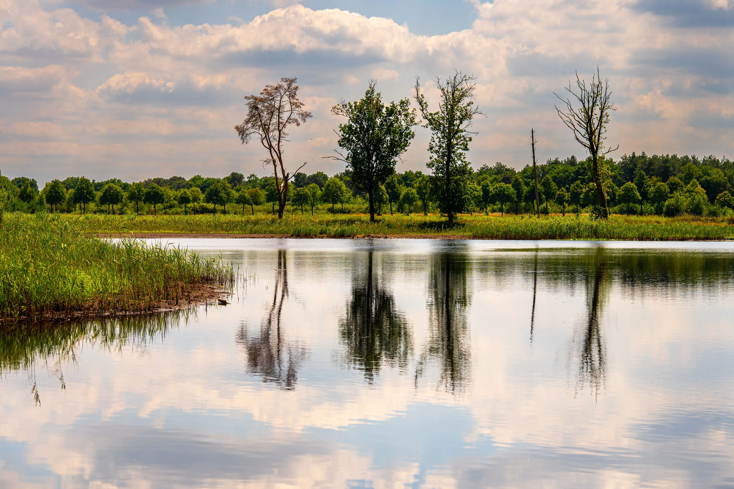 Roosendaalse vennen -(c) André Kivits