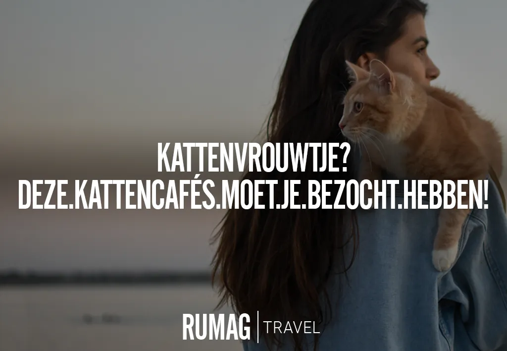 kattenvrouwtje travel header blog