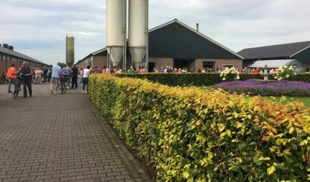 bekijken bij de boer