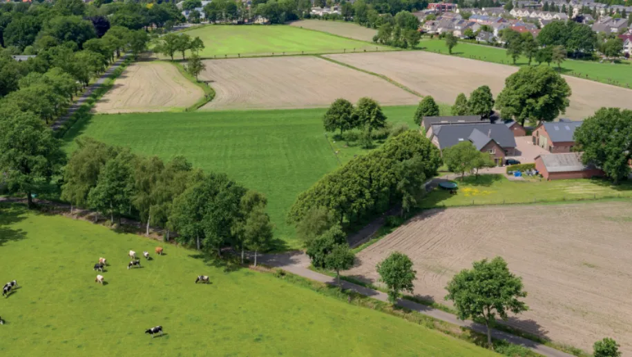 foodvalley 915x518 1