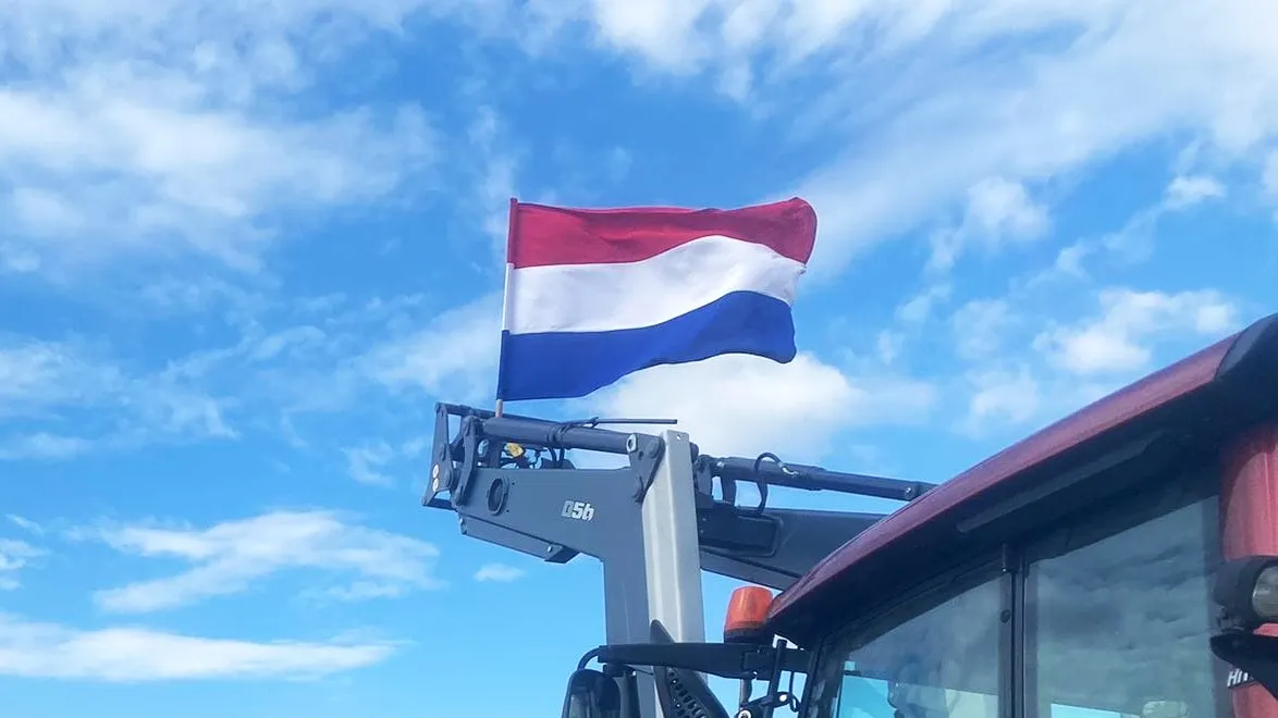 vlag