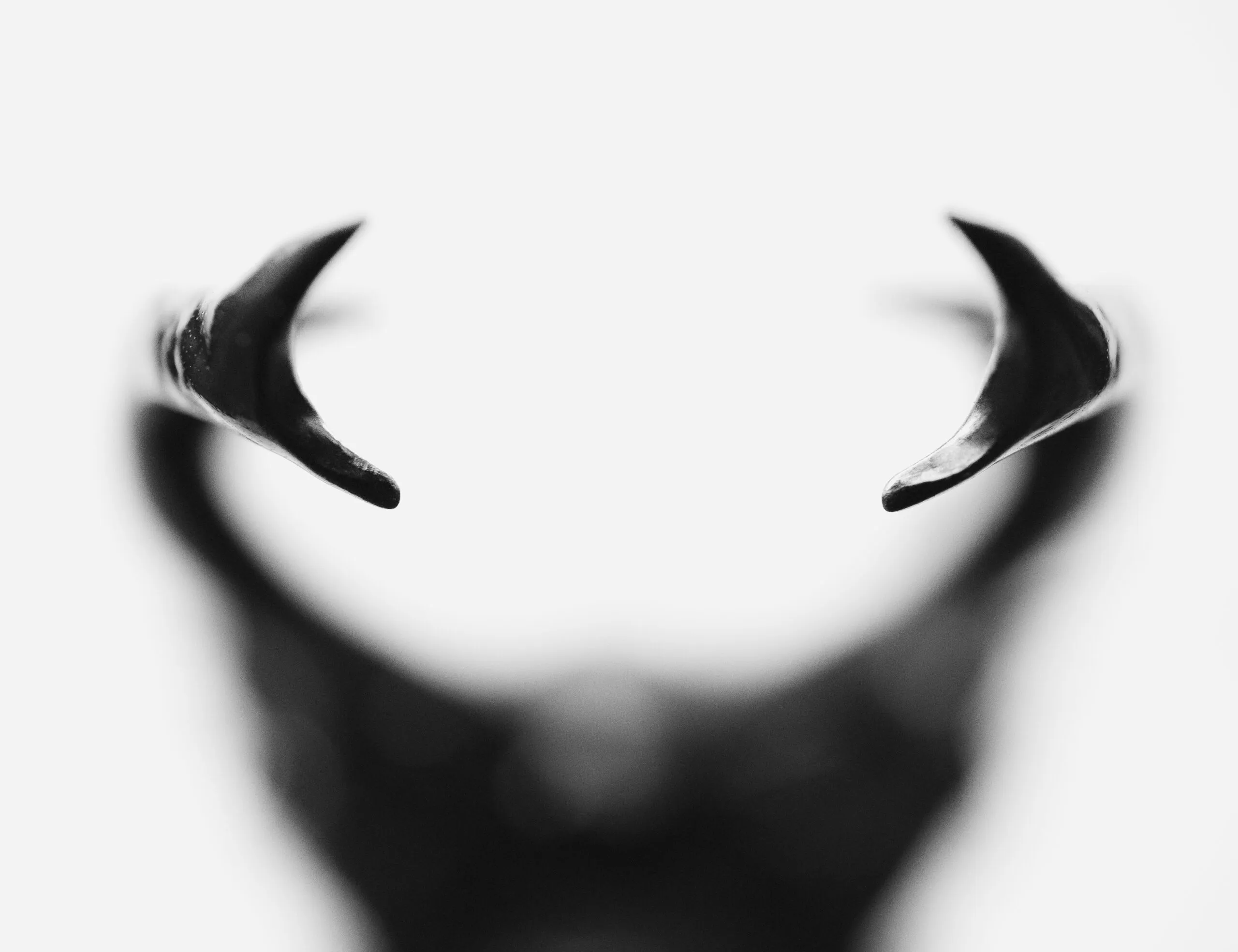 winnaar gelderse natuurfotowedstrijd 2022 sonja bohte bronvermelding verplicht scaled