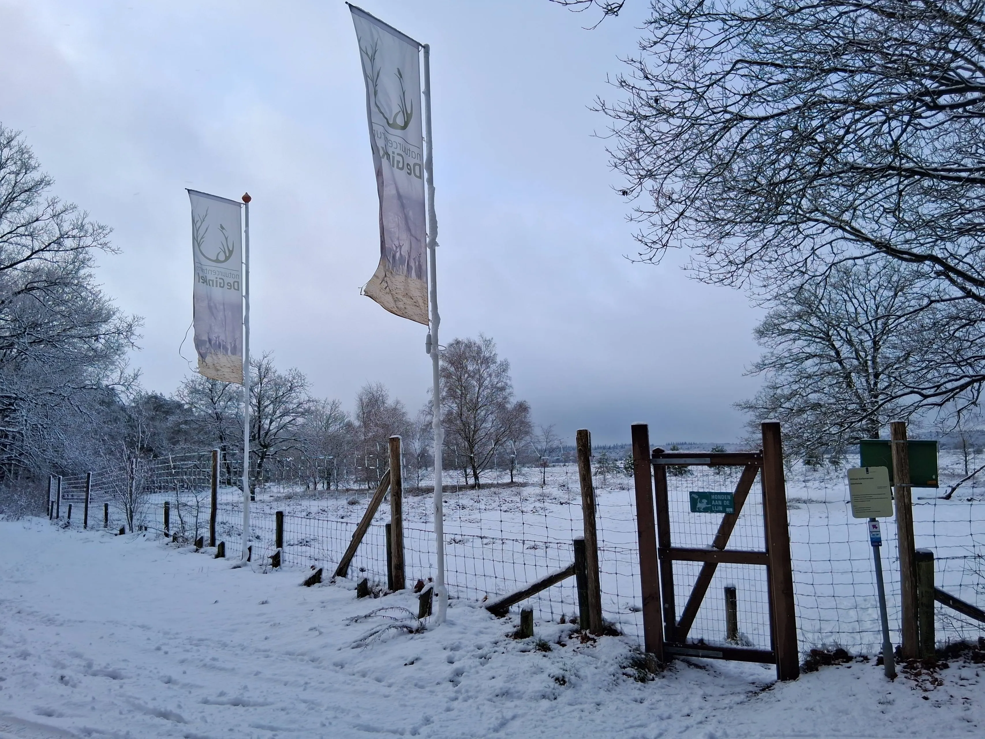 20260103_nc de ginkel sneeuwlandschap