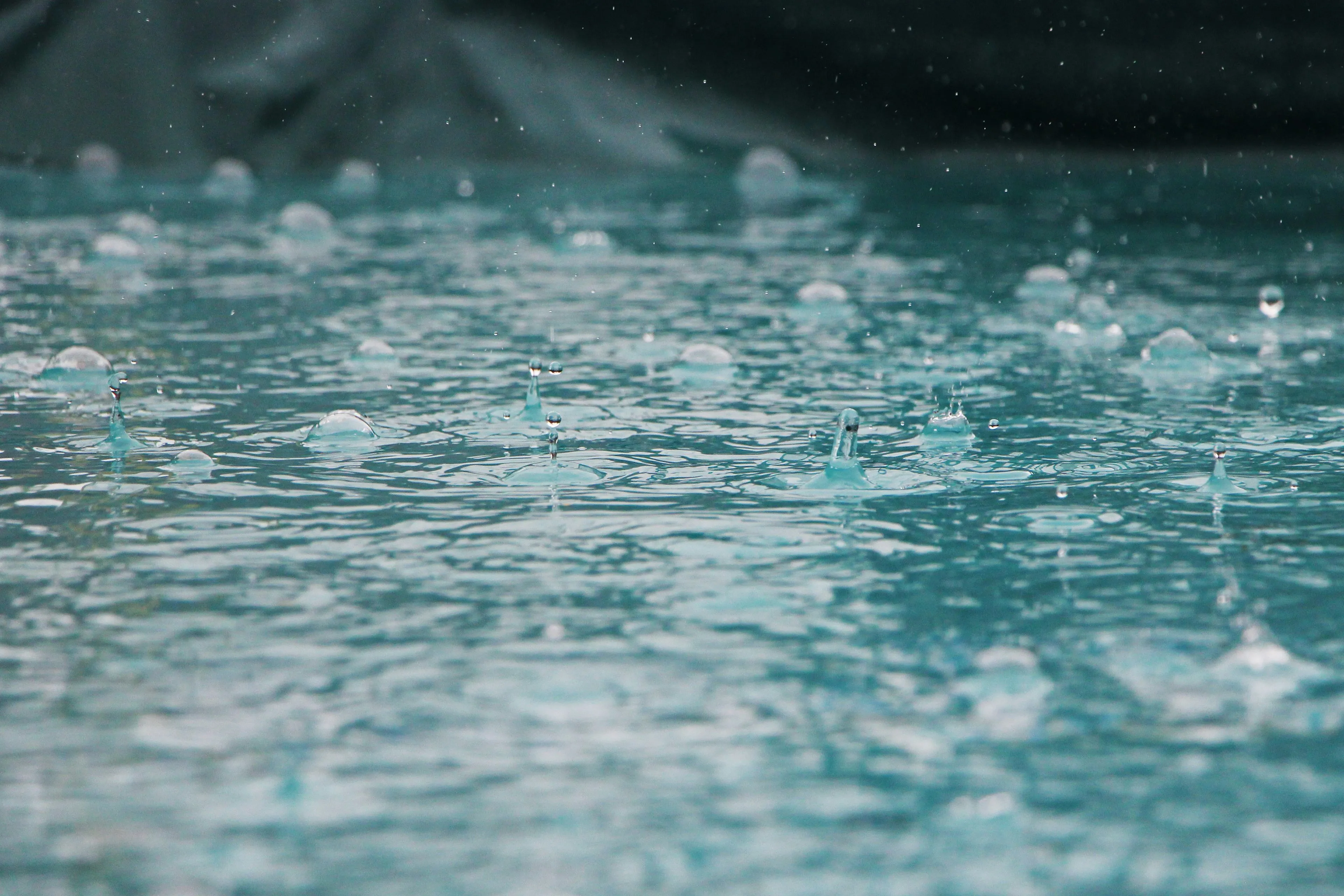 inge maria pv2zldfstxc unsplash