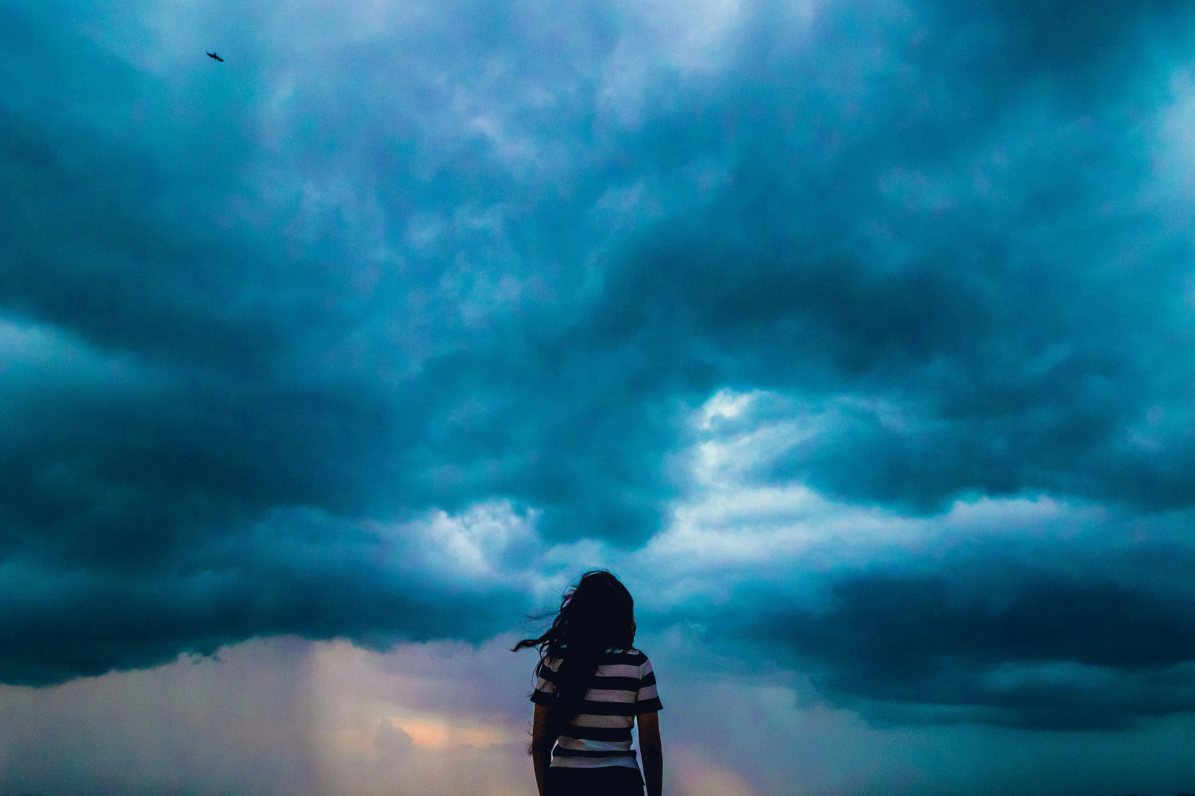shashank sahay quq2cbfqkiw unsplash 2