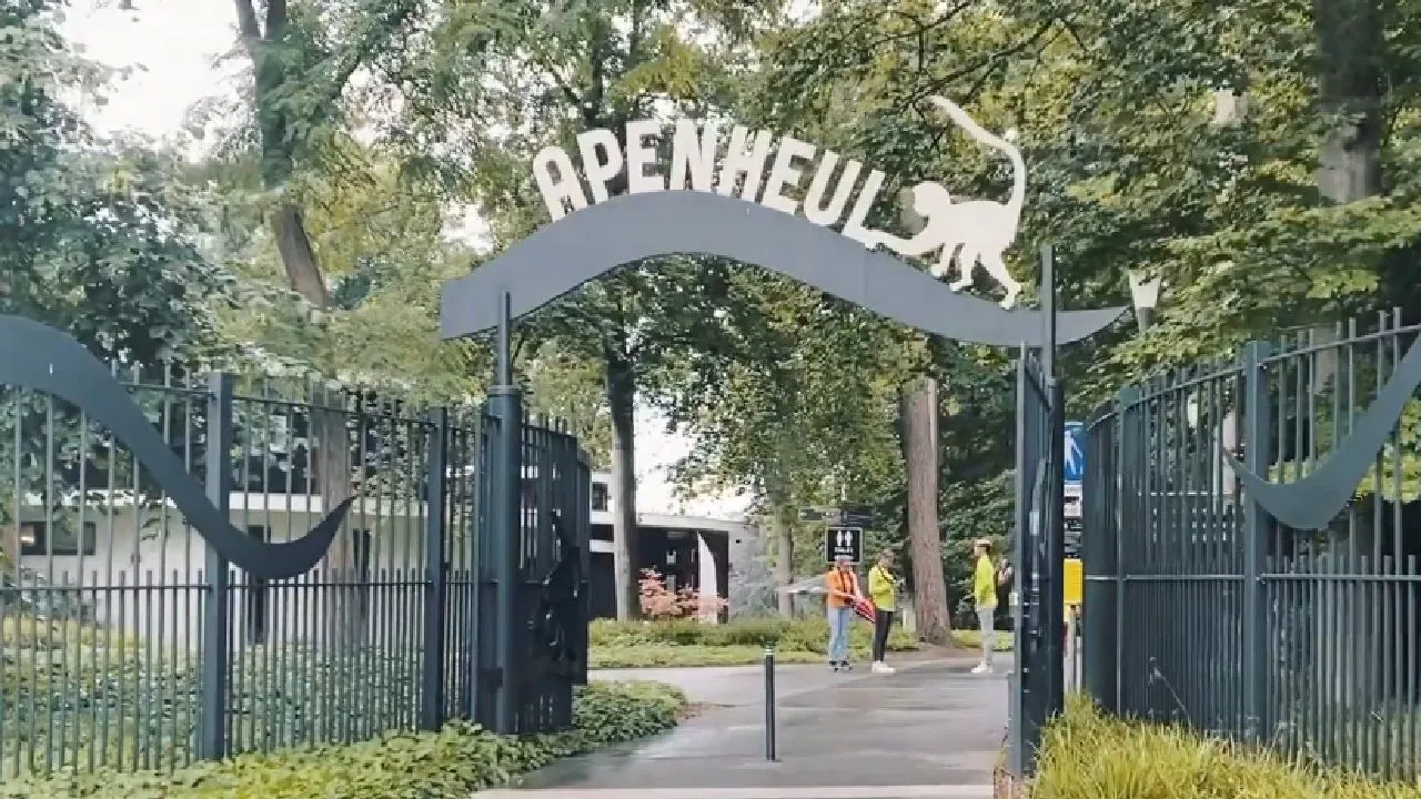 apenheul