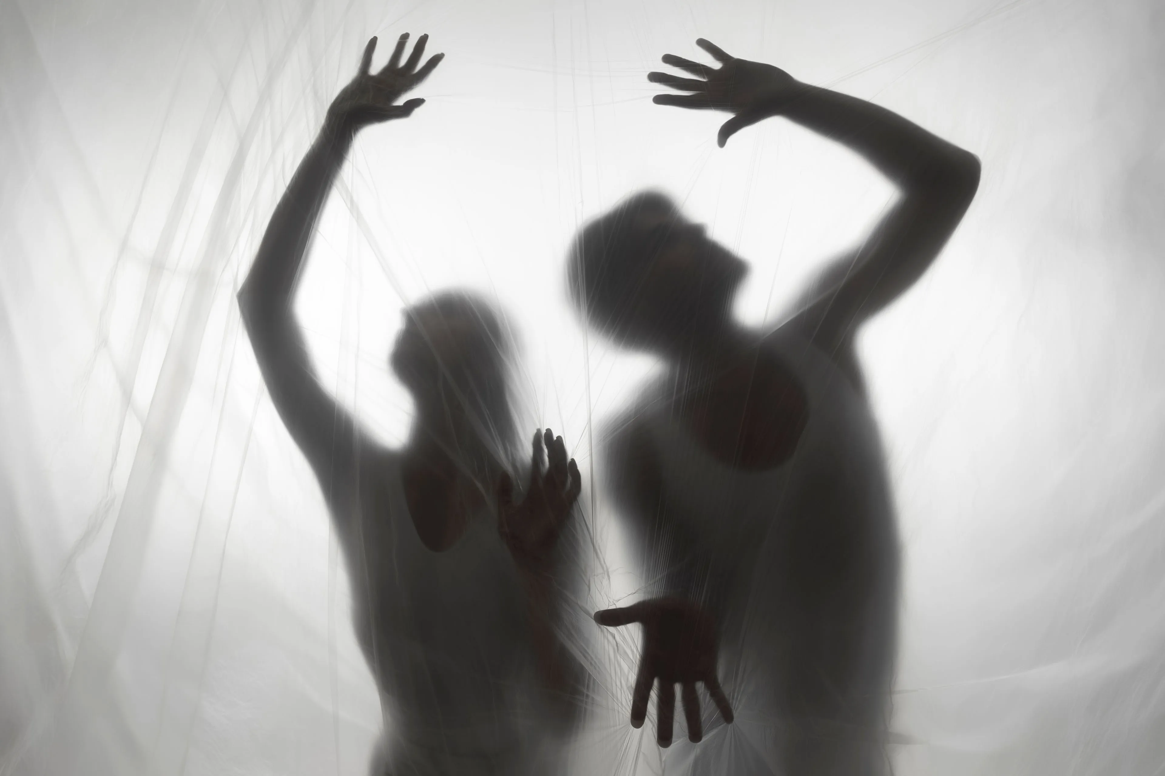 terrifying hand silhouettes studio