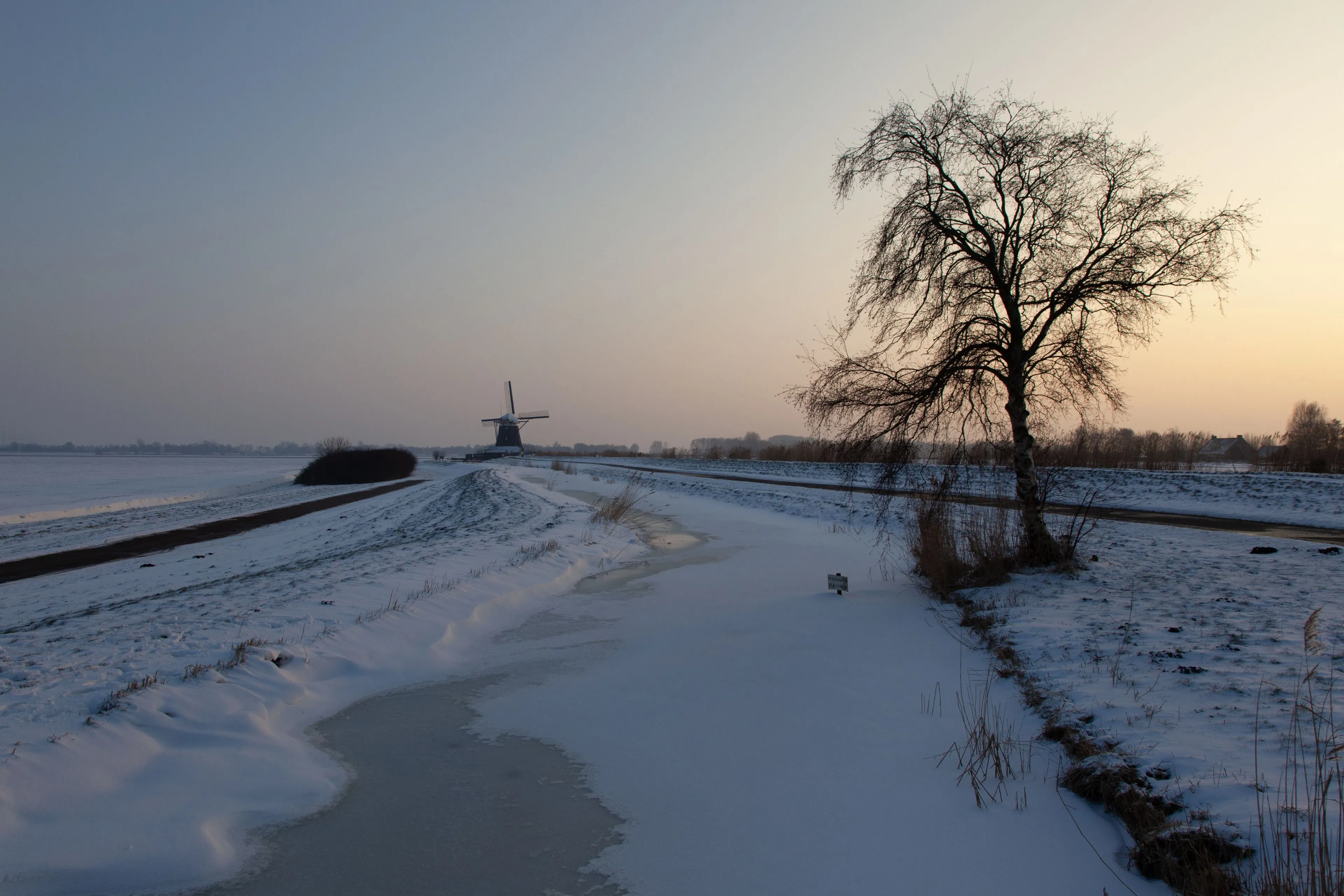 empty snowy field with tree windmill buildings n distance