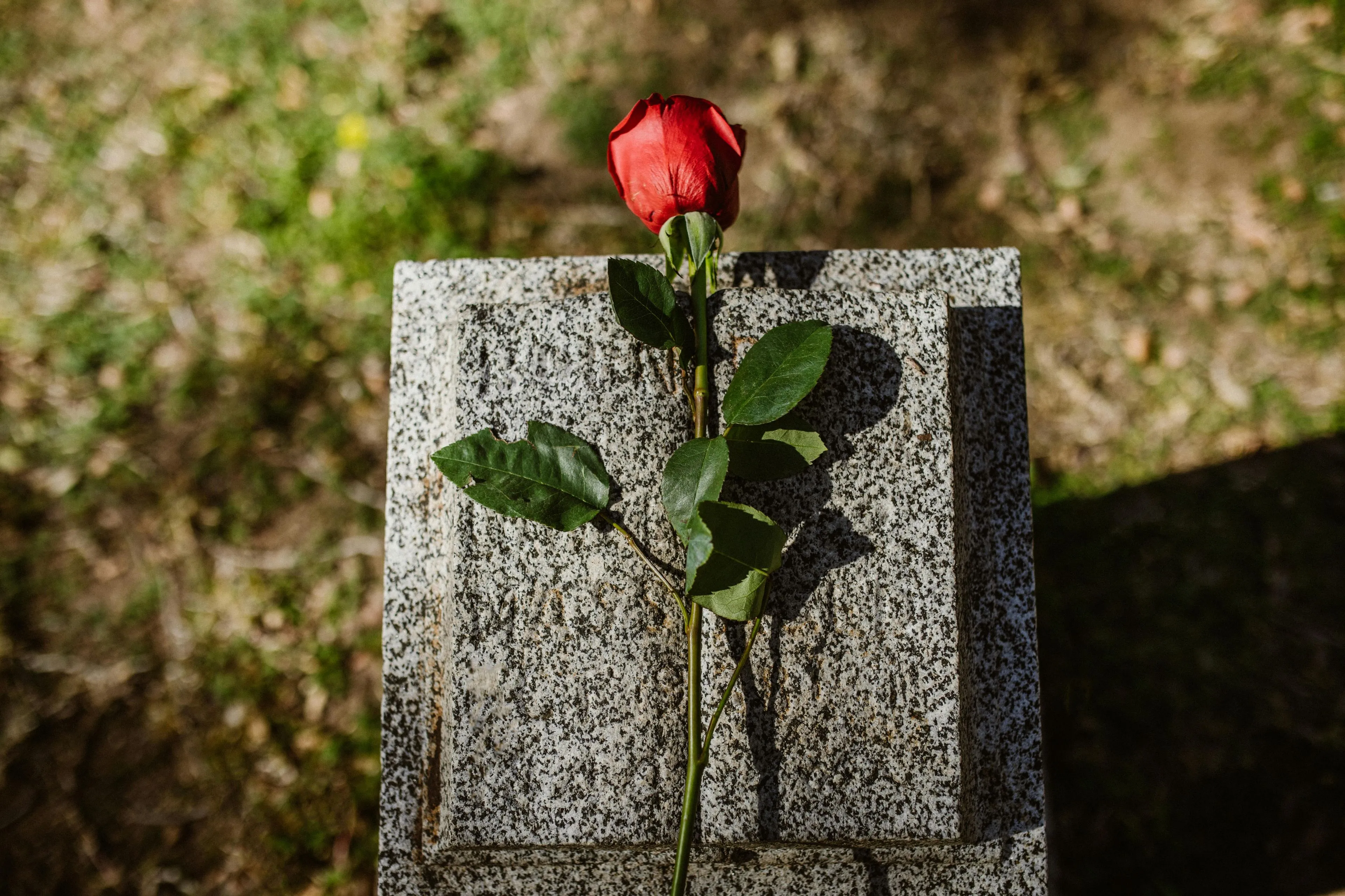 pexels rdne 6841362