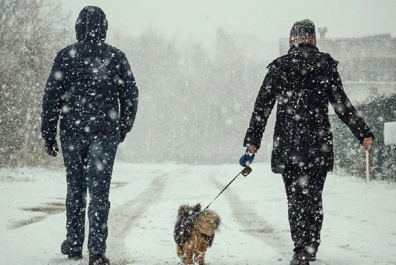 sneeuw