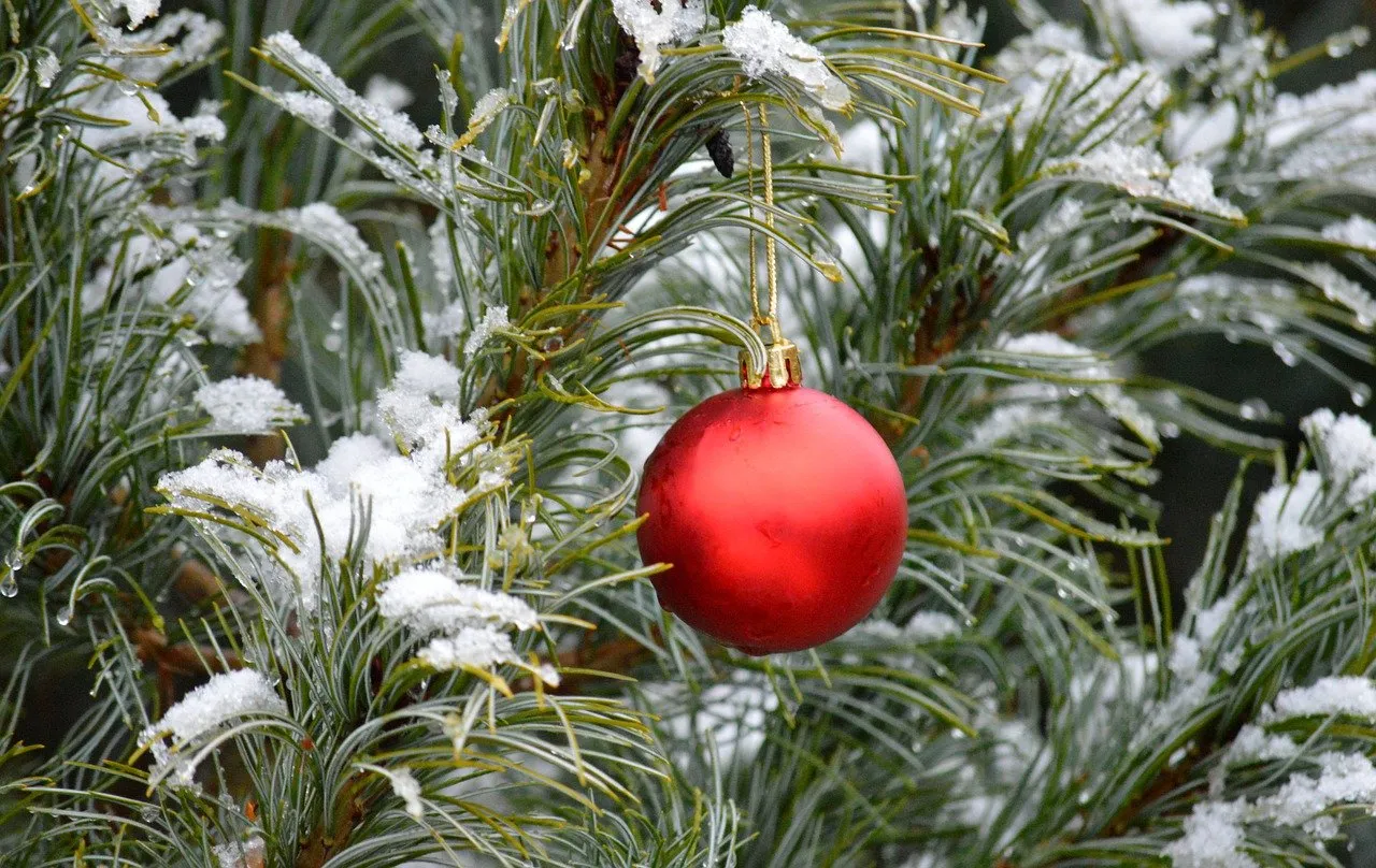 red bauble 7631290 1280