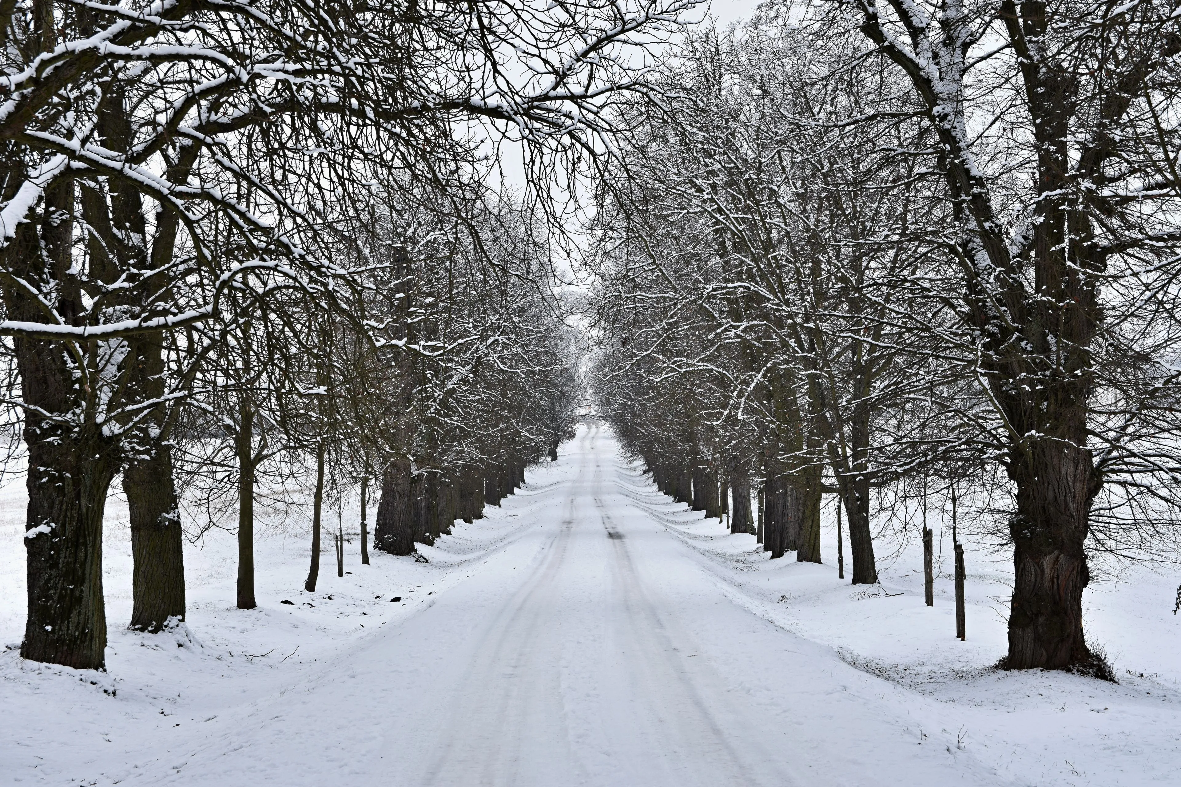 road winter snowy mountain path car concept traveling safe driving winter by car