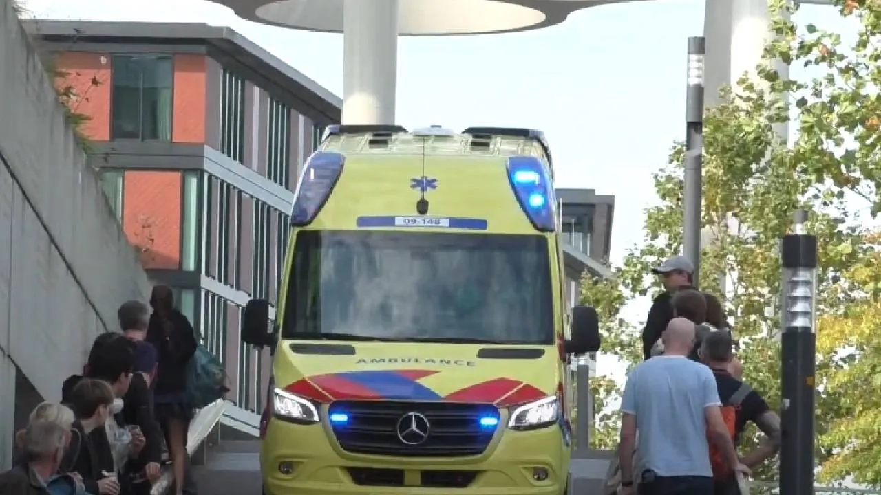 ambu121212