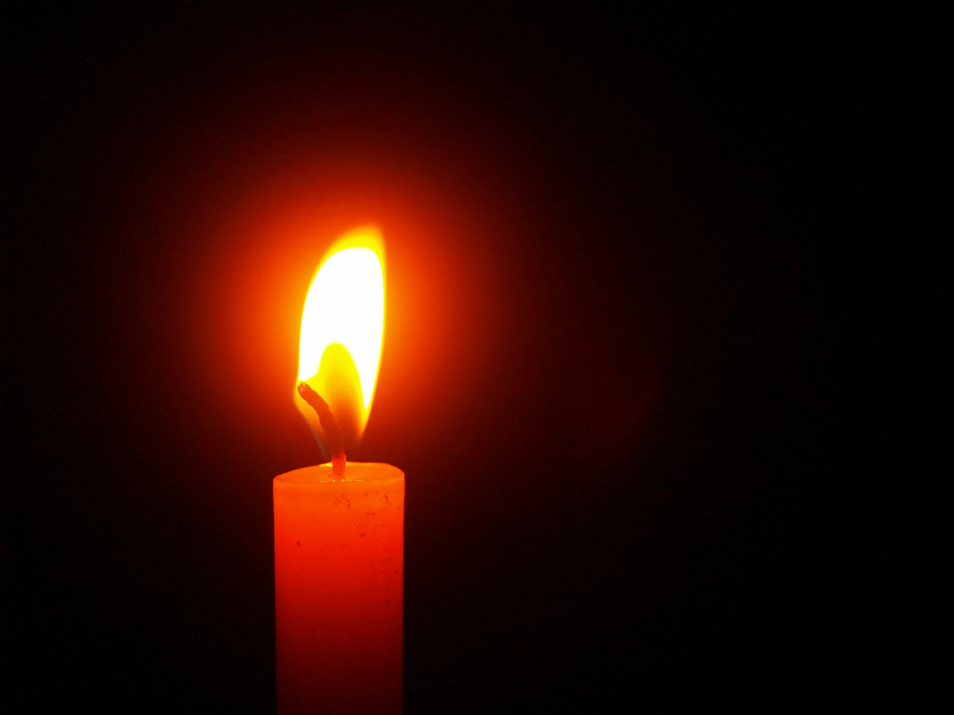 pexels icon0 220618 1