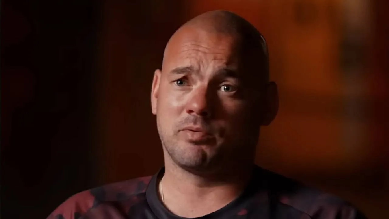 wesley sneijder