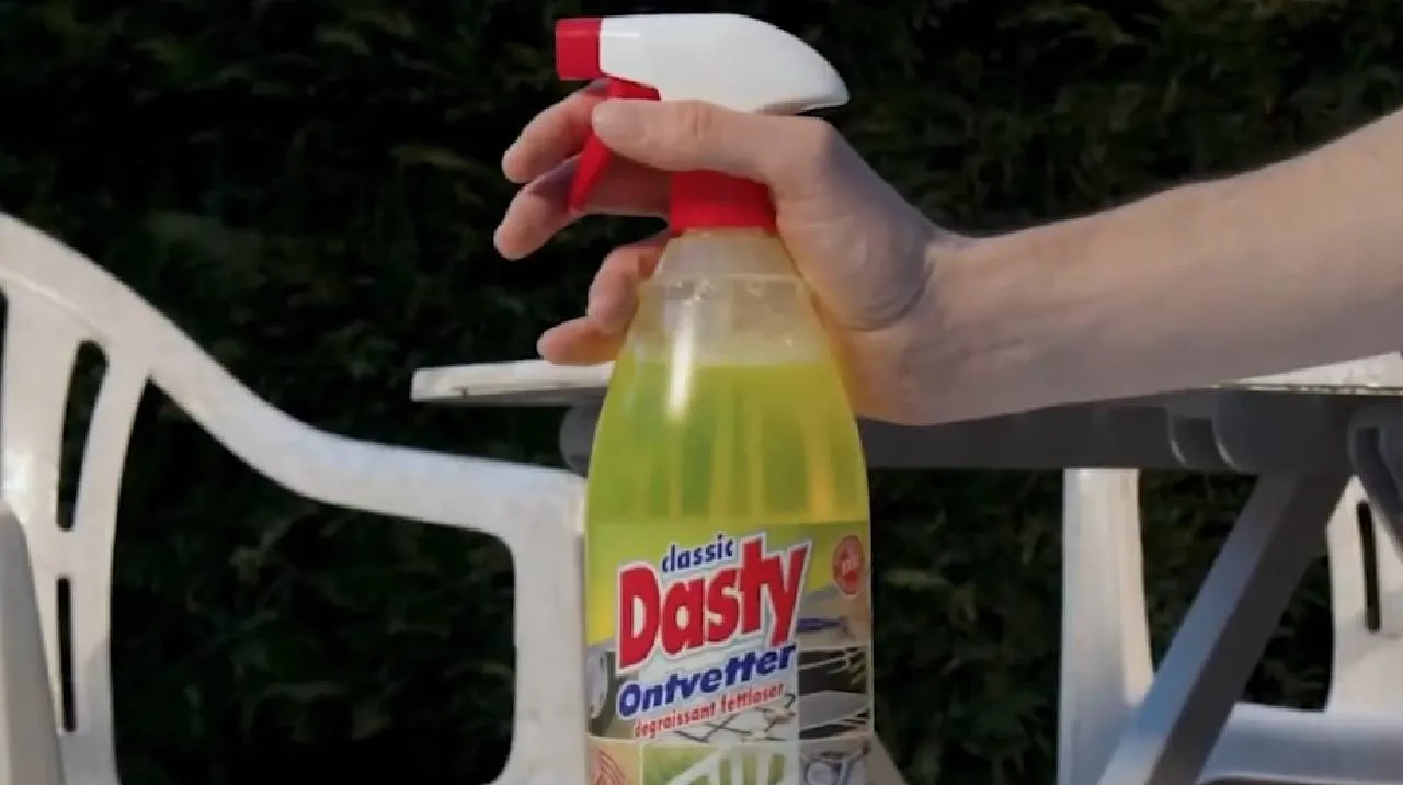 dasty