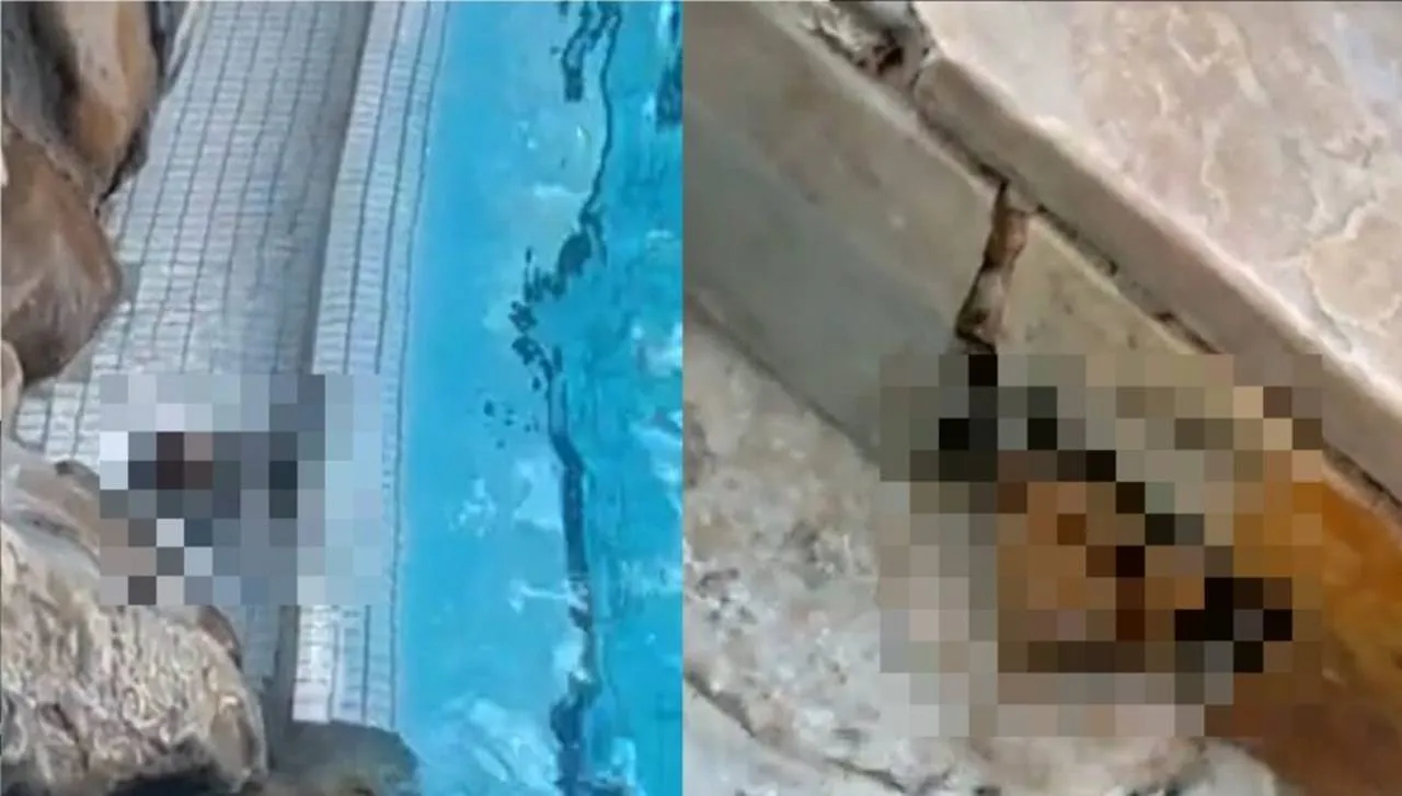 aquaatje