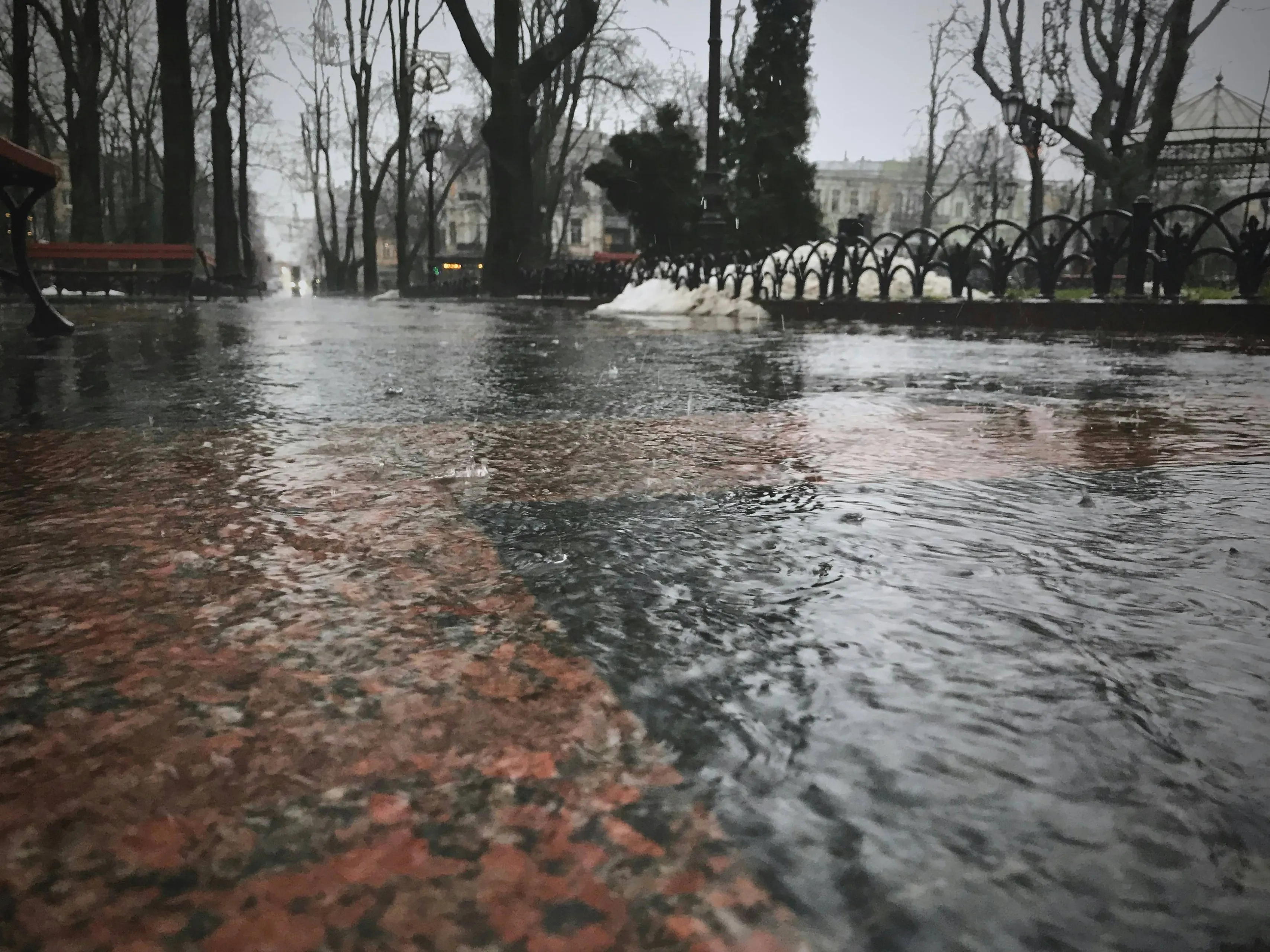 igor tudoran zc ikvadpww unsplash