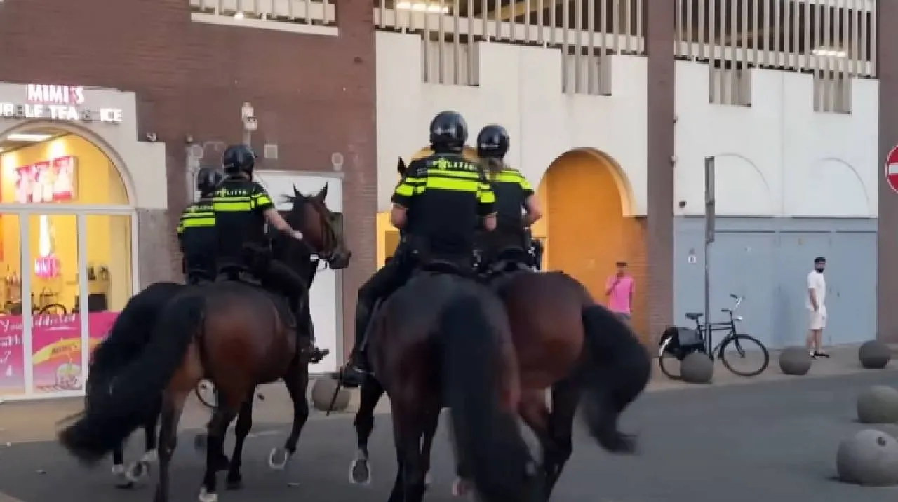 politie2131