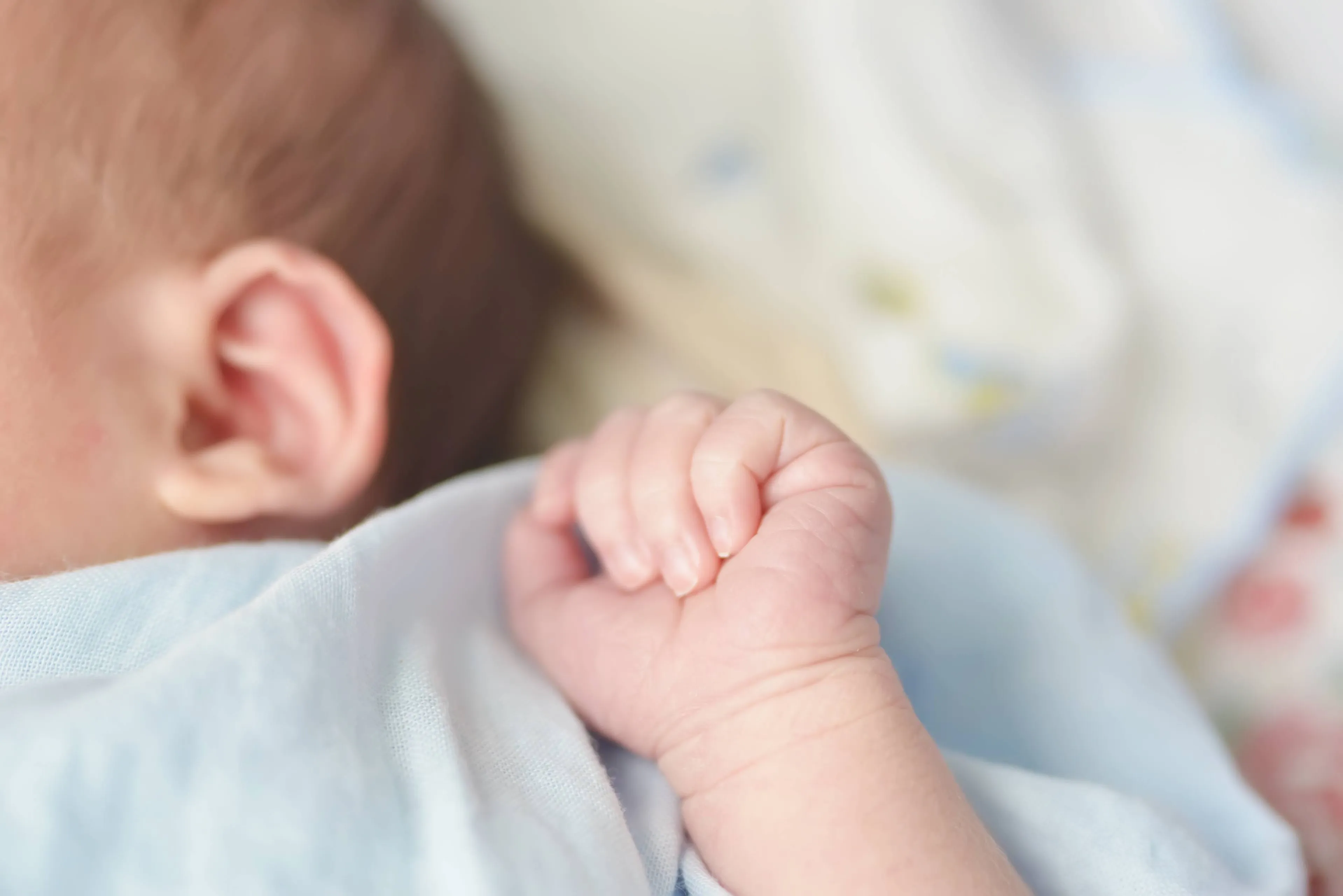 baby hands child sucks fists