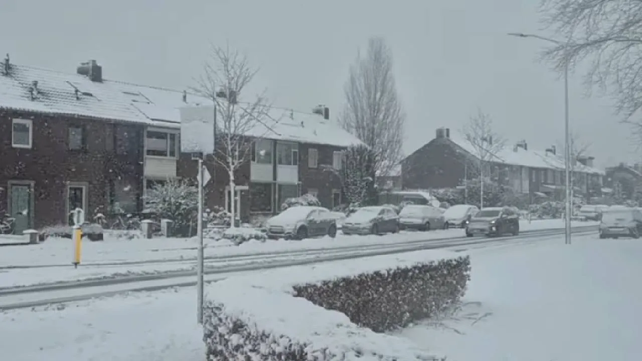 Sneeuw1