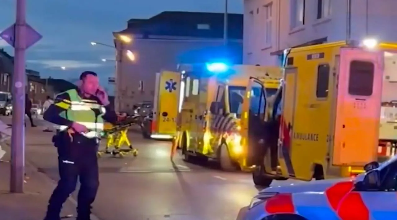 WhatsApp Image 2026-04-12 at 17.00.47