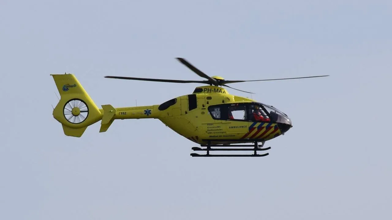 Heli12