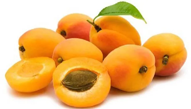 11 3 pitpoezie 002 pitpoezie pitboel