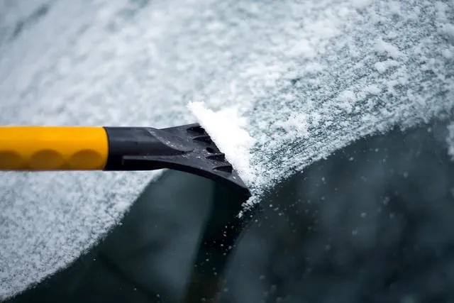 15656722799 cf654b397b z ruit krabben krlis dambrns