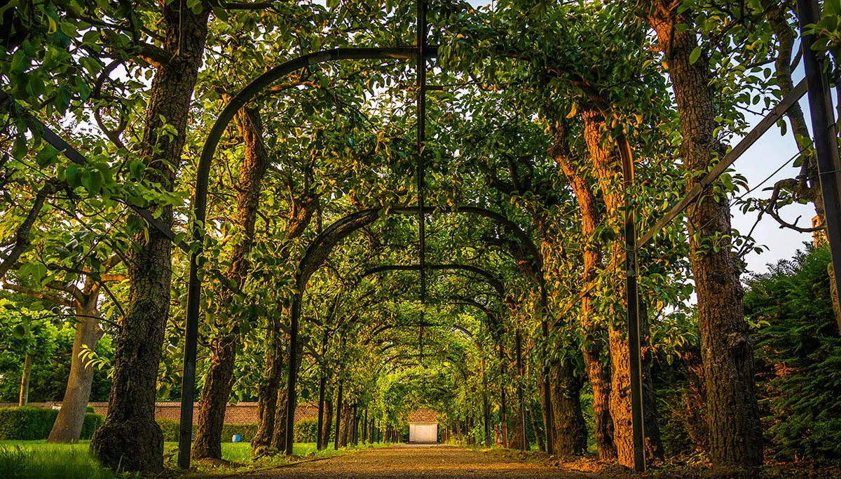 229 ursulinentuin sittard2 libor bednarik sittard365