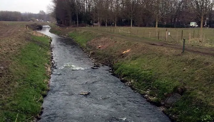 absbroeksbos glanis geleenbeek
