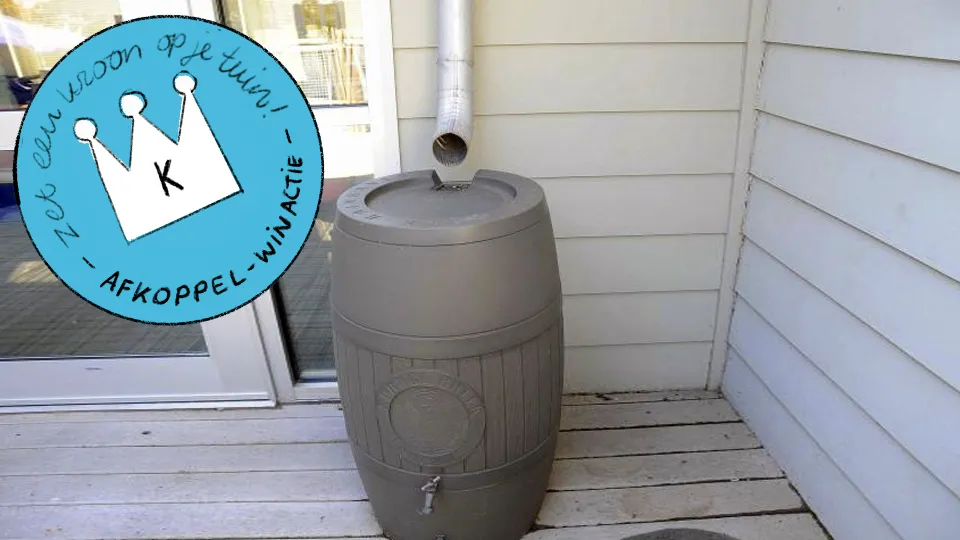 afkoppelwinactieregenton hemelwater afkoppelen