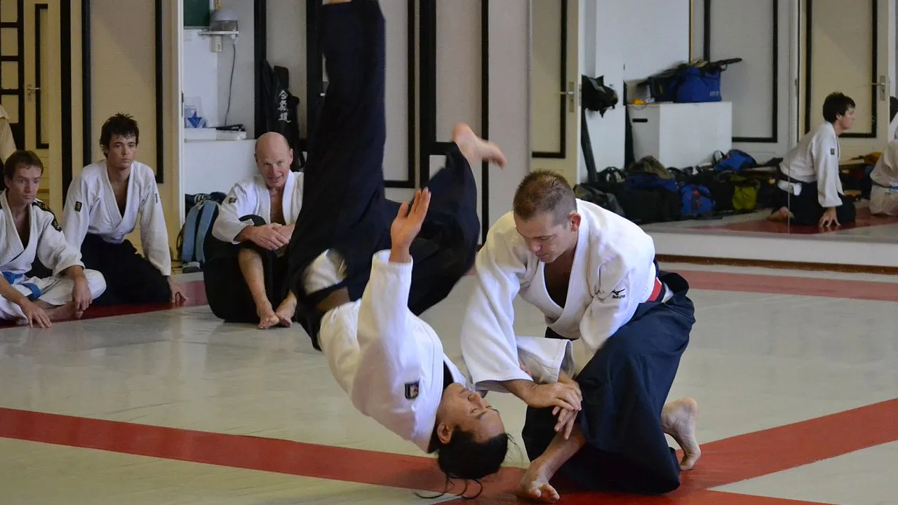 aikido yoseikan cc by sa 30 wikimedia commons