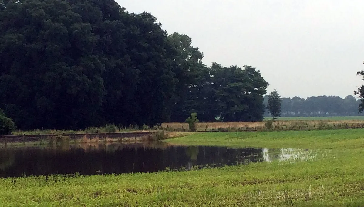 akker blank tussen limbricht en born